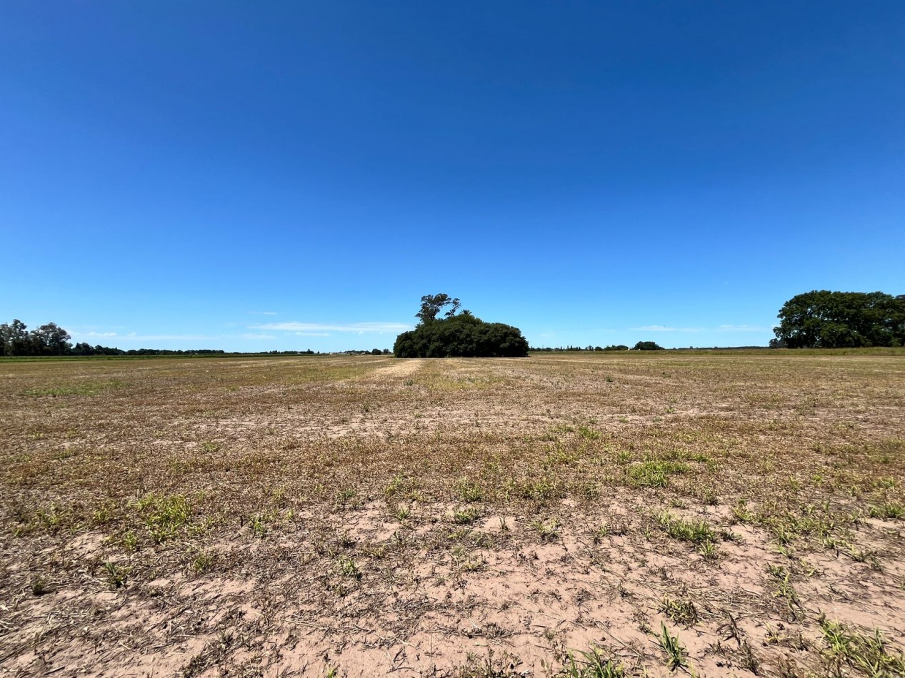 Campo Agricola en Venta
