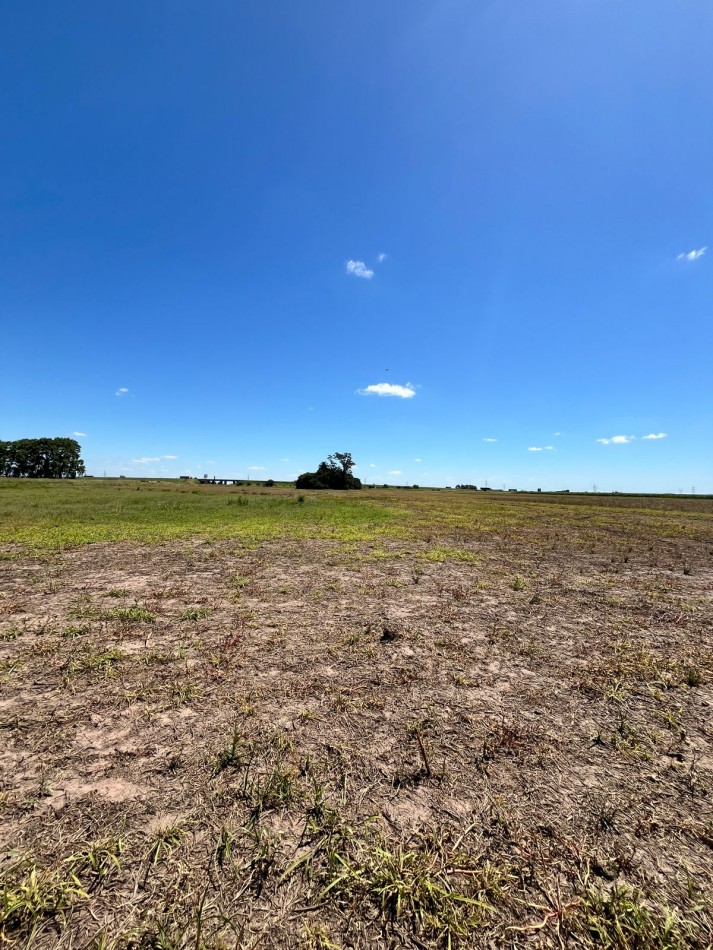 Campo Agricola en Venta