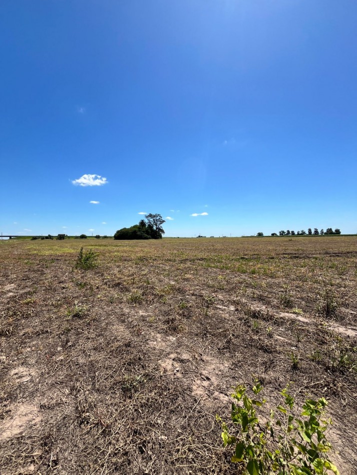Campo Agricola en Venta