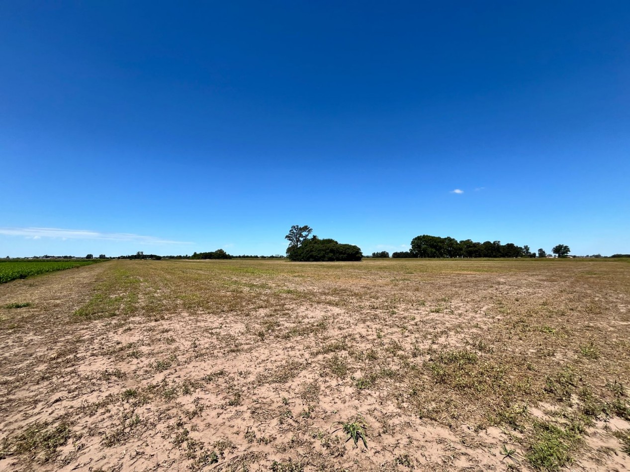 Campo Agricola en Venta