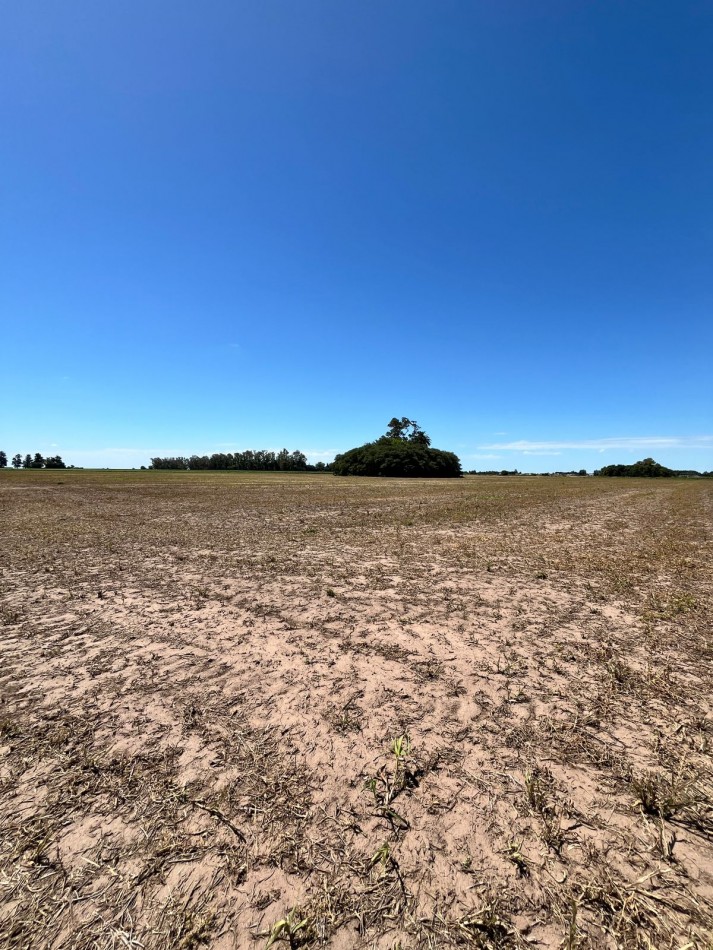 Campo Agricola en Venta