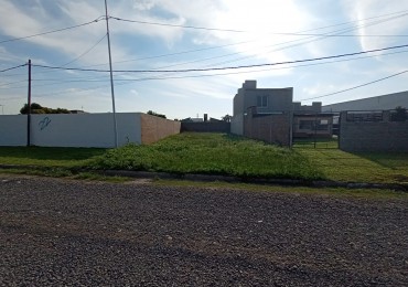 TERRENOS