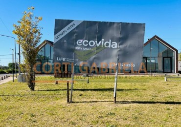ECOVIDA - AVENIDA - VILLA AMELIA